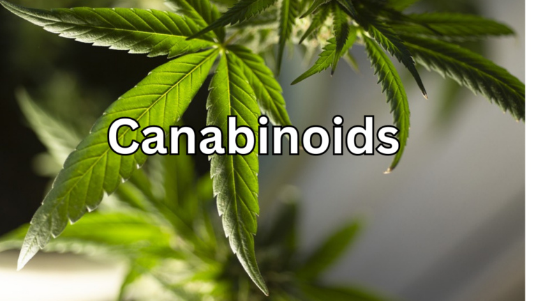 Cannabis: The Ultimate Guide to Understanding Cannabinoids: THC, Delta 8, Delta 9, CBD, HHC, CBN & CBG