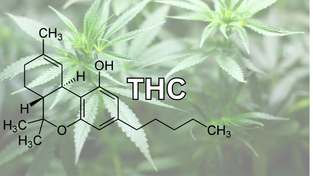 Cannabis: THC Compound
